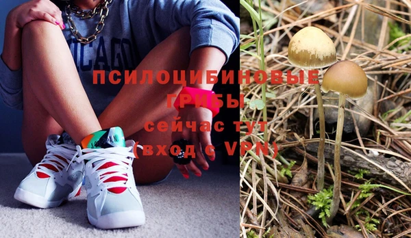 МДПВ Абдулино