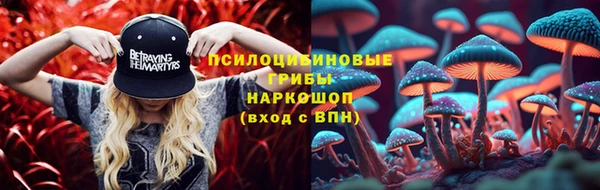 МДПВ Абдулино