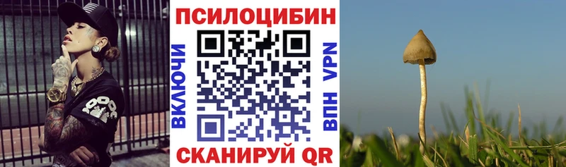 Псилоцибиновые грибы Psilocybe  Эртиль 
